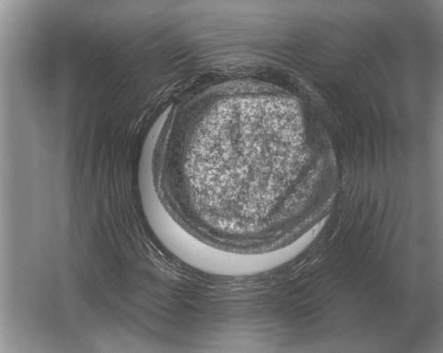 X0000063481108200602101759