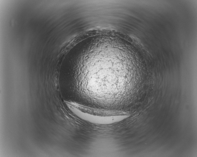 X0000063481110200602101759
