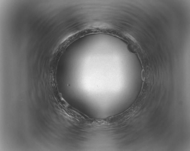 X0000063481112200602101759