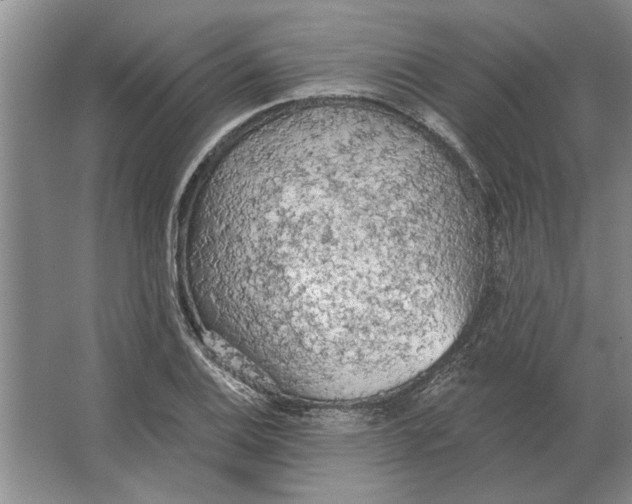 X0000063481124200602101759