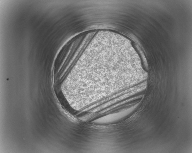 X0000063481132200602101759