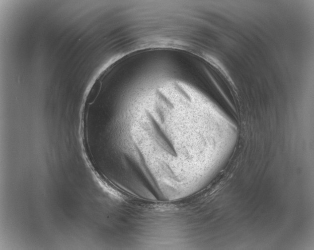 X0000063481136200602101759