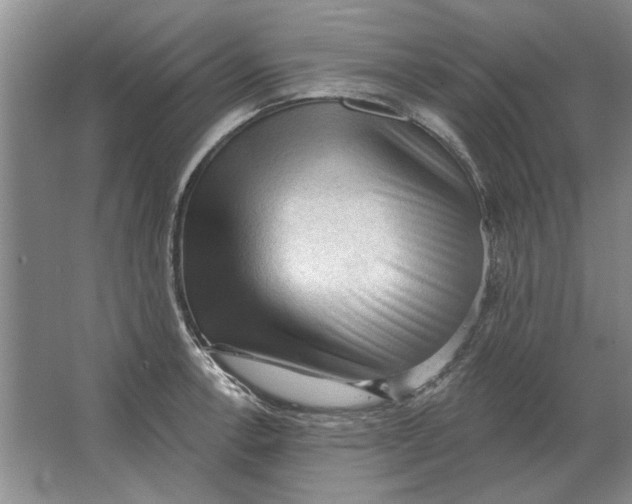 X0000063481138200602101759