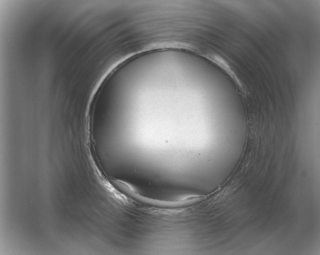 X0000063481140200602101759