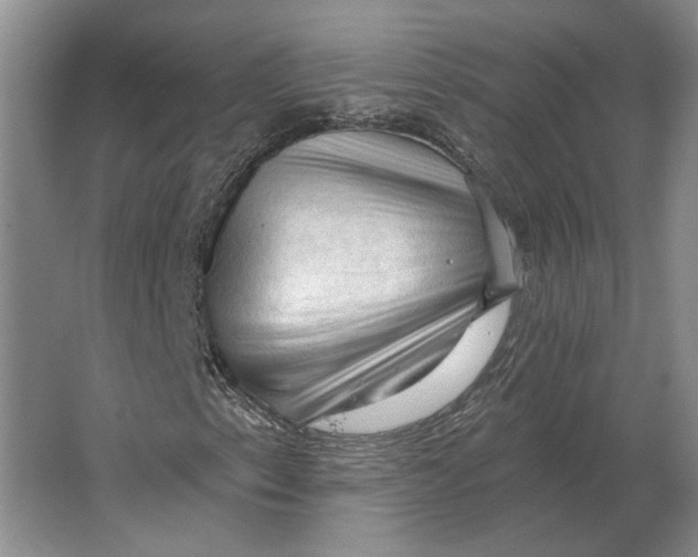 X0000063481153200602101759