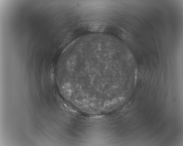 X0000063481154200602101759