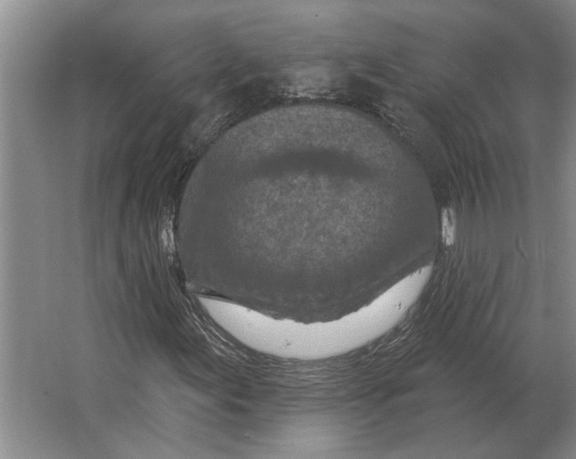 X0000063481155200602101759