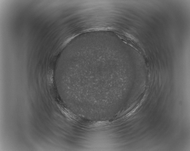 X0000063481161200602101759