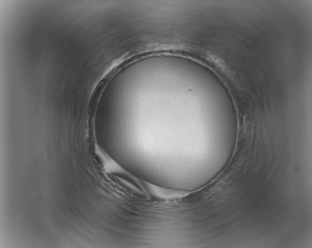 X0000063481165200602101759