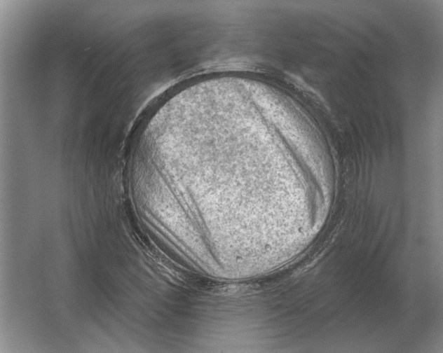 X0000063481166200602101759
