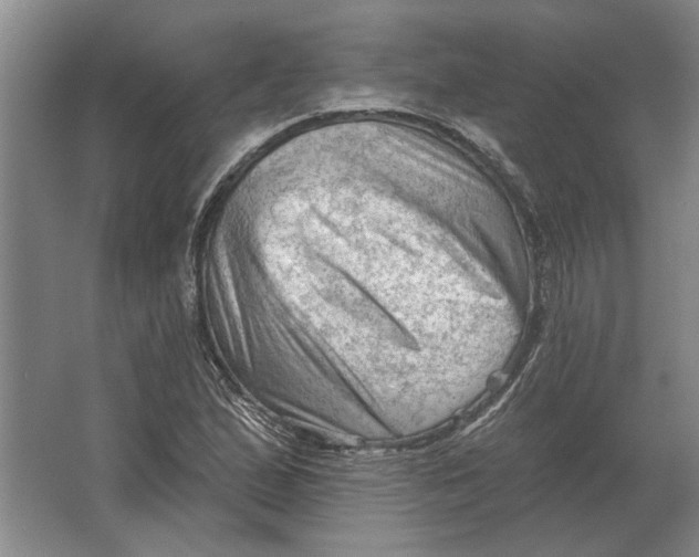 X0000063481167200602101759