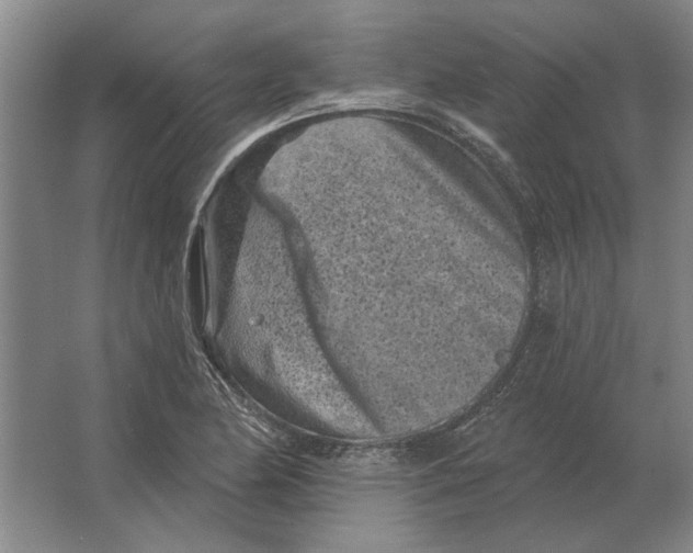 X0000063481174200602101759