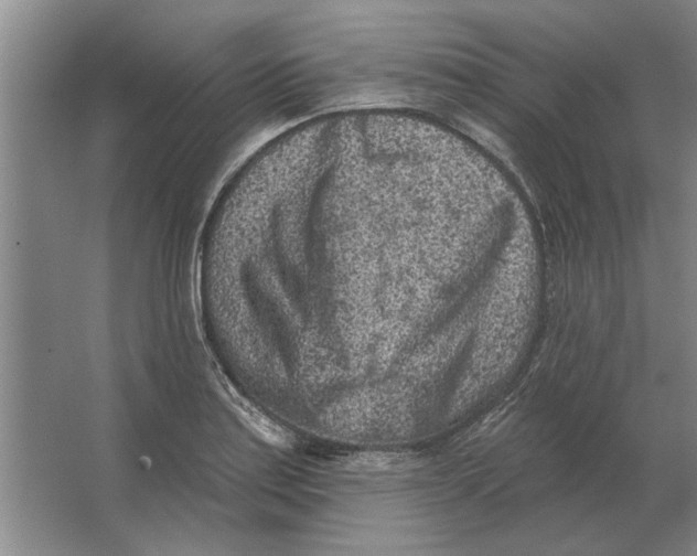 X0000063481179200602101758