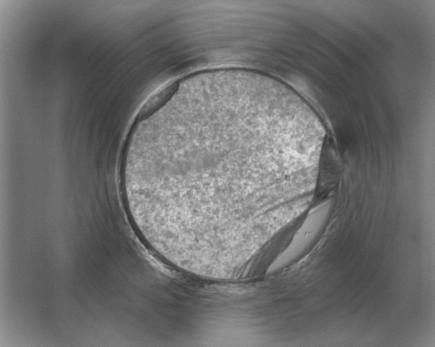 X0000063481197200602101758