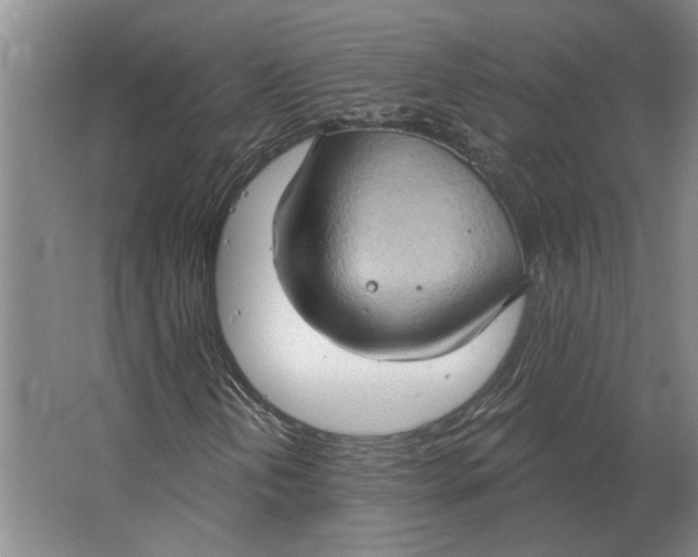 X0000063481202200602101757