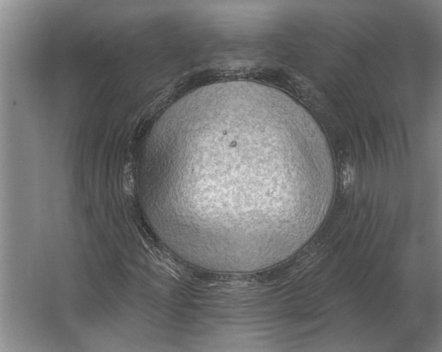 X0000063481204200602101757