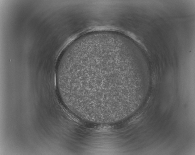 X0000063481221200602101758