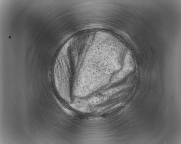 X0000063481225200602101758