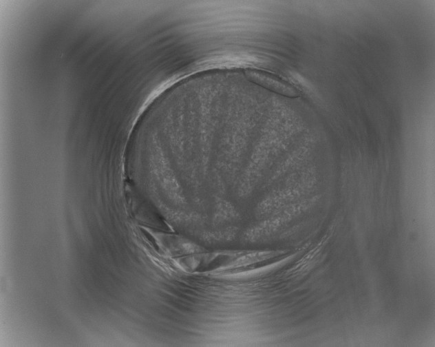 X0000063481226200602101758