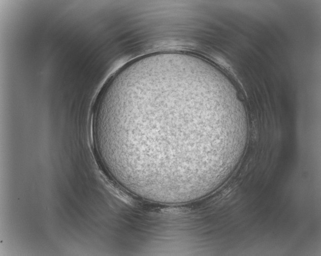X0000063481227200602101758