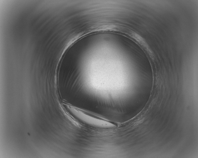 X0000063481234200602101758
