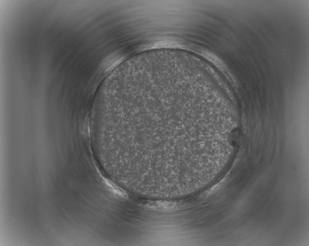 X0000063481241200602101758