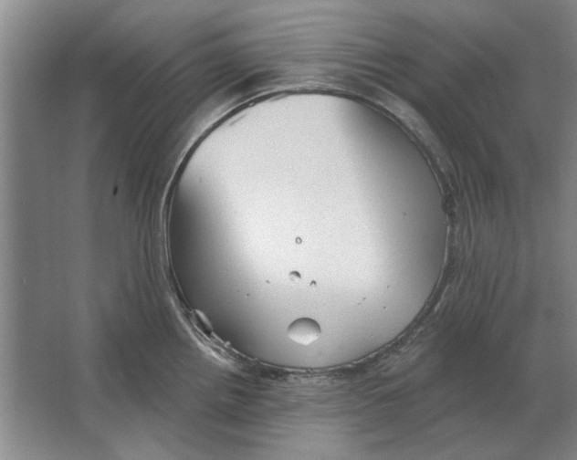 X0000063481242200602101758