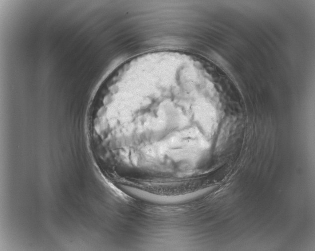 X0000063481243200602101758