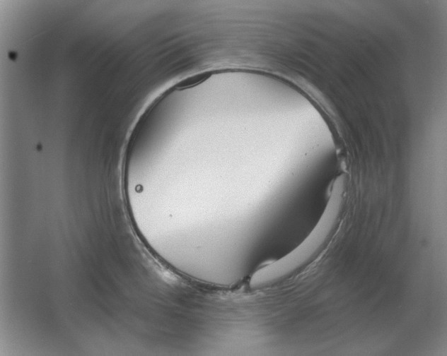 X0000063481246200602101758