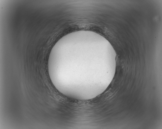 X0000063481249200602101757