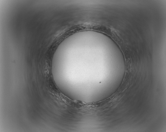 X0000063481253200602101757