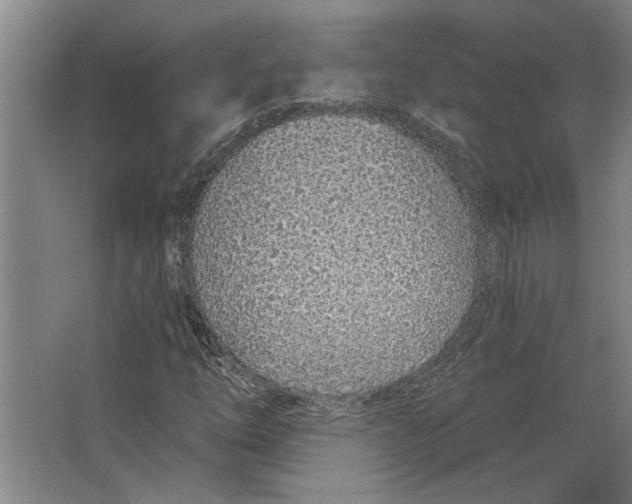 X0000063481254200602101757