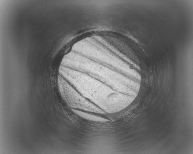 X0000063481255200602101757