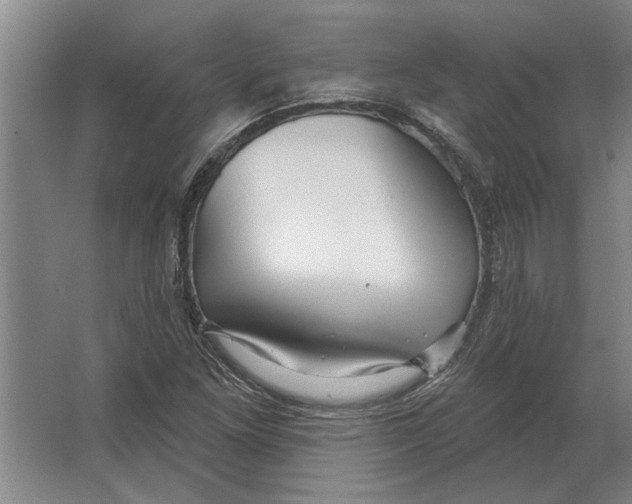 X0000063481261200602101757