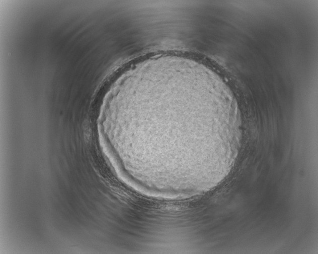 X0000063481266200602101757