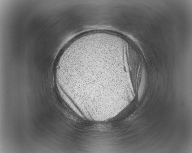 X0000063481271200602101757