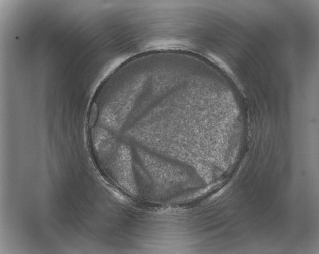 X0000063481277200602101757
