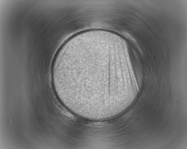 X0000063481280200602101757