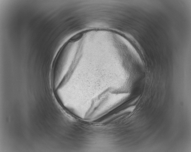 X0000063481295200602101757