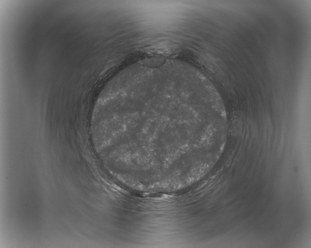 X0000063481297200602101756