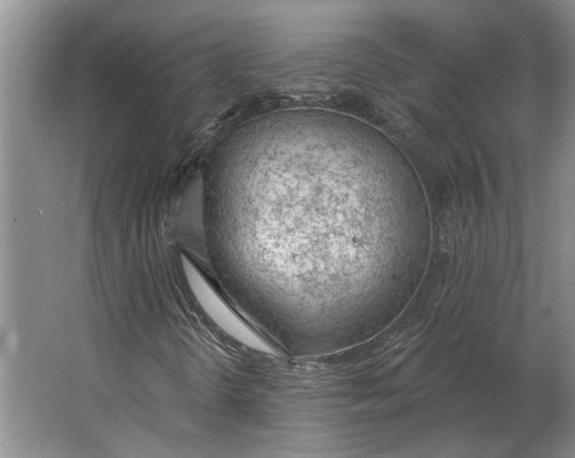 X0000063481298200602101756