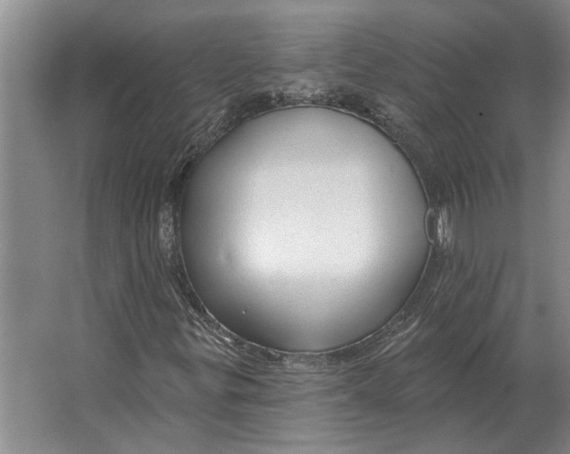 X0000063481299200602101756