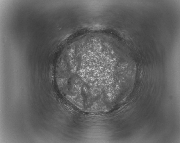 X0000063481301200602101756