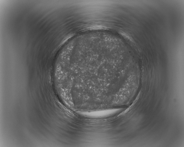 X0000063481305200602101756