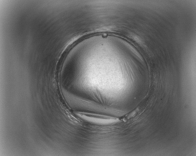 X0000063481308200602101756