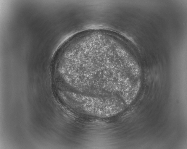 X0000063481311200602101756
