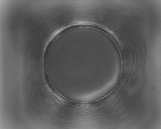 X0000063481319200602101756