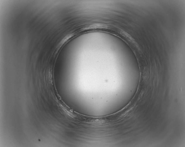 X0000063481321200602101756