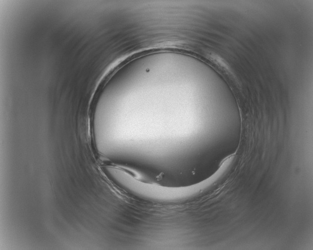 X0000063481324200602101756