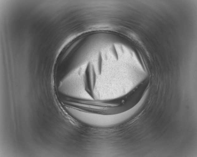 X0000063481328200602101756